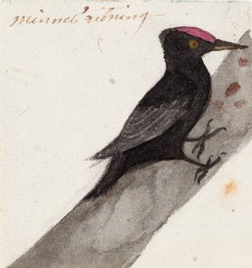  av Ferdinand von Wright