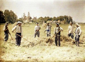 Åtte medlemmer av den 143. infanteridivisjonen til den franske hæren lager høy, Soissons, Aisne, Frankrike, 1917 (autokrom) av Fernand Cuville