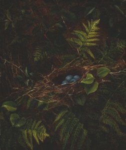 Fuglerede og bregner, 1863.