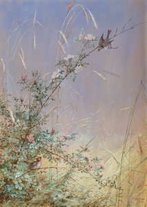 Wild Roses Among Rye, 1874 (wc & gouache over blyant på papir)