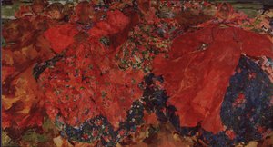 The Whirlwind, 1906