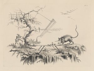 En ny enhet for å kløyve ville dyr fra hode til hale av Filippo Morghen