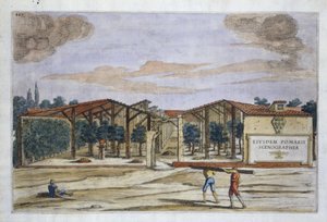 A Covered Orchard, from Hesperides av Giovanni Battista Ferrari, gravert av Camillo Congio (fl.1630), utgitt 1646 (håndfarget gravering) av Filippo after Gagliardi