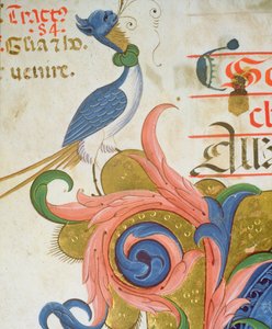 Missal 515 f.28v Fantastisk fugl med menneskehode stående på hjørnet av en historisk initial, detalj fra en korbok utført før 1449 vellumdetalj av 56724 av Filippo di Matteo Torelli