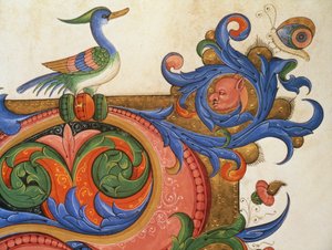 Missal 515 f.92v Zoomorfisk løvverk med andlignende fugl og sommerfugl, dekorasjonsdetalj rundt en historisk initial fra en korbok utført før 1449 vellum