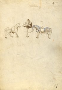 To hester av Fiore Furlan dei Liberi da Premariacco