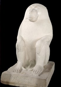 Bavian, Middle Kingdom, muligens 7. dynasti (kalkstein)