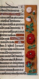 Ms. 1058-1975, f.120r: detalj av en blomsterkant fra en timebok, ca. 1500 (vellum) av Flemish School