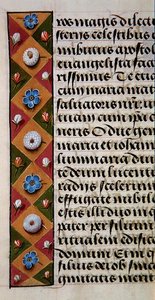 Ms. 1058-1975, f.16r: detalj av en blomsterkant fra en timebok, ca. 1500 (vellum) av Flemish School