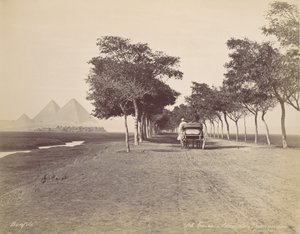 Kairo. Alley of Pyramids, ca. 1870. av Félix Bonfils