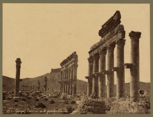 En del av den store søylegangen, Qalaat Ibn Maan-slottet i det fjerne, Palmyra, ca. 1875 (albumtrykk) av Félix Bonfils
