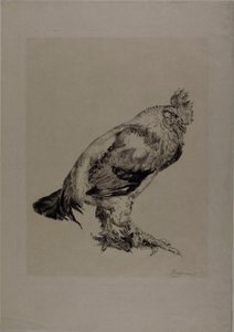  av Félix Henri Bracquemond