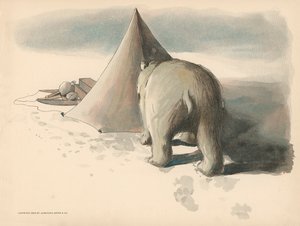 Illustrasjon for The Golliwoggs Polar Adventures