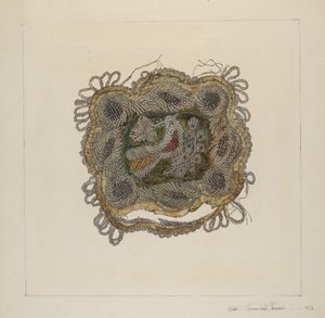 Perlepute