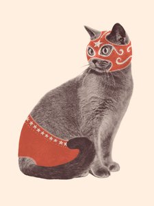 Kattebryter