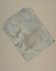 Hodet til en kvinne i profil vendt mot venstre, 1490-1500. av Follower of Leonardo da Vinci.