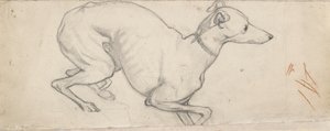 Studie av en greyhound, midten av 1800-tallet av Ford Madox Brown