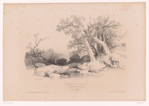Berglandskap med vann og to rådyr Tegnekurs med studier av landskap, dyr og detaljer (serietittel) Kurs design. Paysages, figurer, animaux, tilbehør, av Férogio (serietittel på objekt)