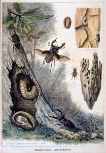 Skadelige insekter, 1897 av Fortuné Méaulle