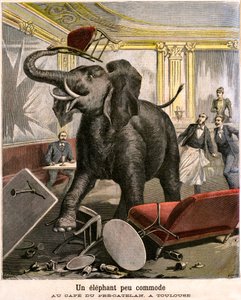 En ubehagelig elefant: pachydermen rømmer fra et sirkusmenasjeri ødelegger alt på kafeen til Pre-Catelan i Toulouse. Gravering av Meaulle og Meyer i siste omslag av PETIT JOURNAL-bilaget illustrert n 51 av 14. november av Fortune Louis and Meyer Henri  Meaulle