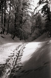  av Fosco Maraini