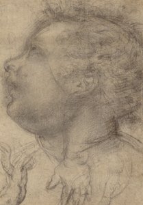  av Fra Bartolommeo (Baccio della Porta)