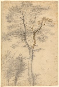  av Fra Bartolommeo (Baccio della Porta)