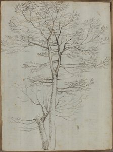 Bare tre [verso]
