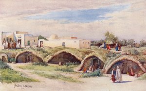  av Frances Nesbitt