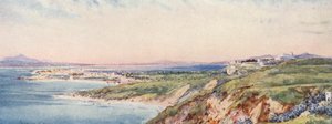  av Frances Nesbitt