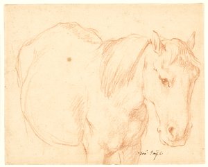 En hest av Francesco Fernandi
