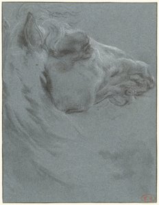 Hodet på en hest av Francesco Giuseppe Casanova