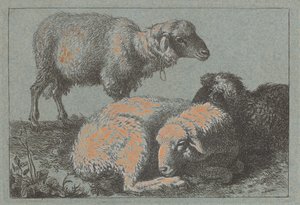 To liggende sauer og en stående sau, 17571758. av Francesco Londonio