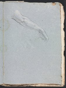 Verona Skissebok: Høyre arm og hånd side 95, 1760. av Francesco Lorenzi