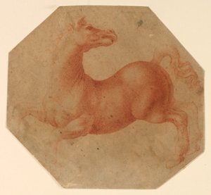 Studie av en oppdrettshest etter Leonardo da Vinci