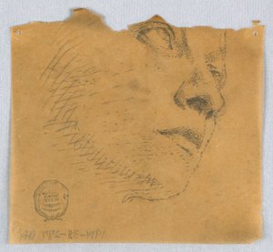 Delvis skisse av et ansikt av Francis Augustus Lathrop