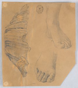 Studier av føtter og et riflet skall av Francis Augustus Lathrop