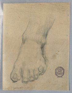 Studer for en fot av Francis Augustus Lathrop