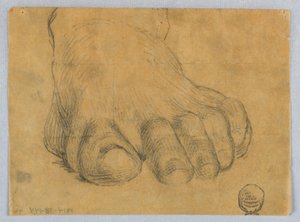 Studie av venstre fot av Francis Augustus Lathrop