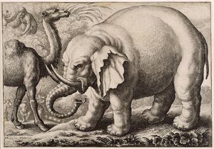 En elefant og en kamel, gravert av Wenceslaus Hollar (1607-77) 1663 av Francis Barlow