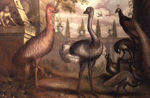 Samling av fugler (olje) av Francis Barlow