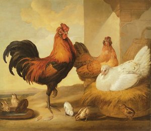 Tamhane, høner og kyllinger, 1655