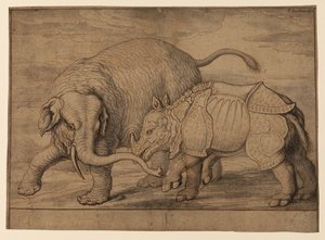 Kamp mellom en elefant og neshorn