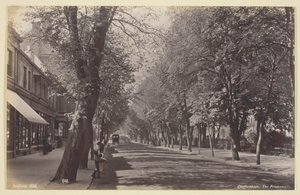 Cheltenham, Promenade, 186094. av Francis Bedford
