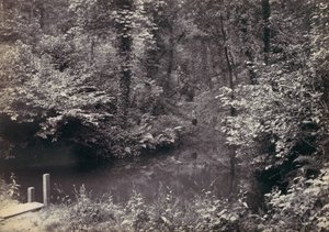 Colwyn Bay. The Pool in the Wood, 1870s.    1182598   no       norwegian Successfully Translated  Original: Mallard (colour litho) Translat: Mallard (colour litho) 1412975 no norwegian Successfully Translated Original: Zwei Mädchen in einer Landschaft Tran av Francis Bedford