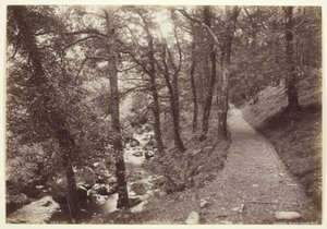 Dolgelley, View in Torrent Walk av Francis Bedford