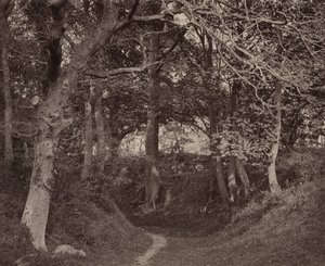 Glen Kenilworth, ca. 1868 (foto) av Francis Bedford