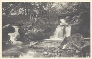 Glen Lyn, den rustikke broen, 186094. av Francis Bedford