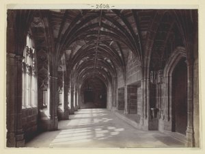 Uten navn av Francis Bedford