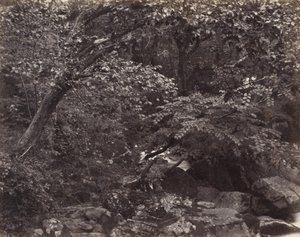 Glen ved Lynmouth av Francis Bedford, Francis Frith